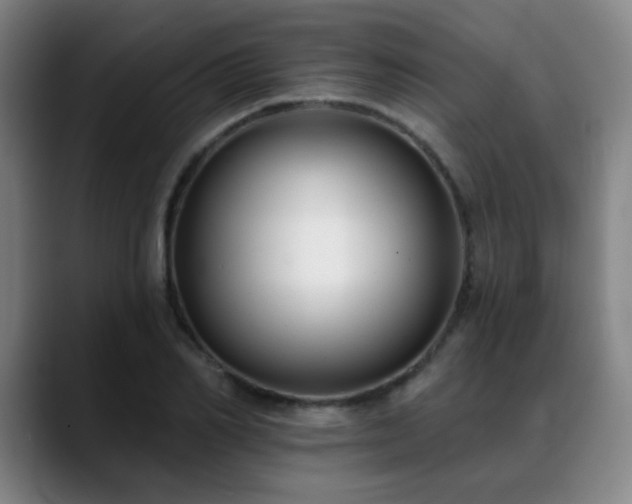 X0000089340982200706151040