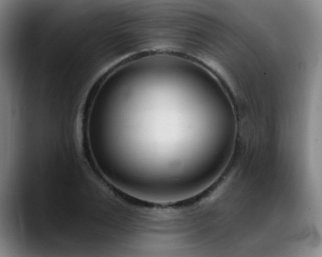 X0000089340983200706151040