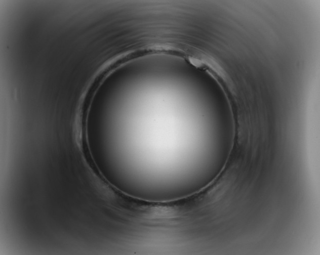 X0000089340984200706151040