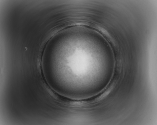 X0000089340985200706151040