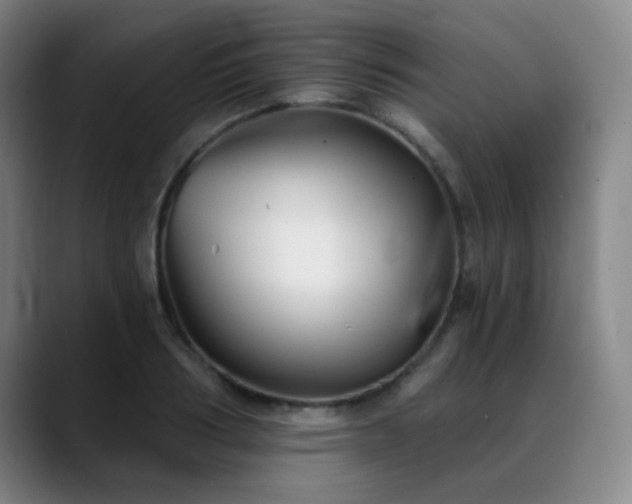X0000089340986200706151040