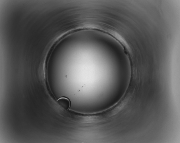 X0000089340988200706151040