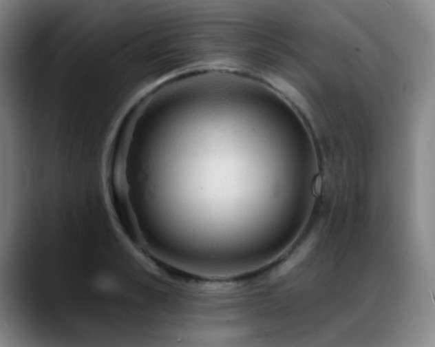 X0000089340989200706151040