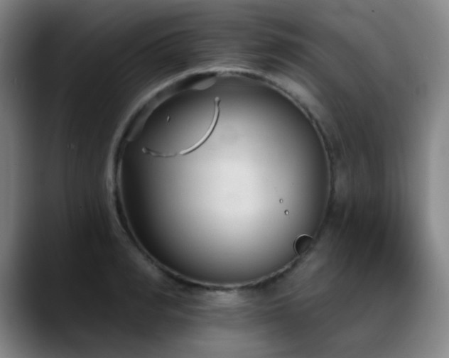 X0000089340990200706151040