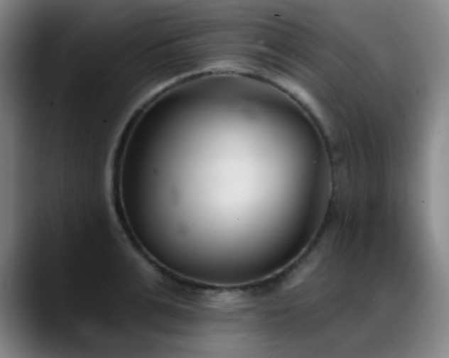 X0000089340991200706151040