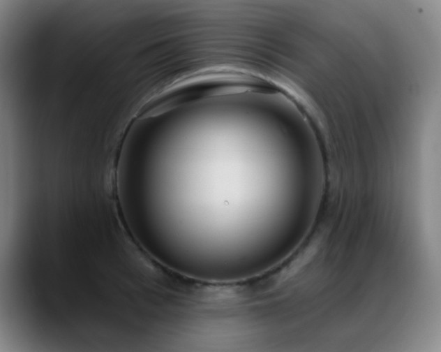 X0000089340993200706151040