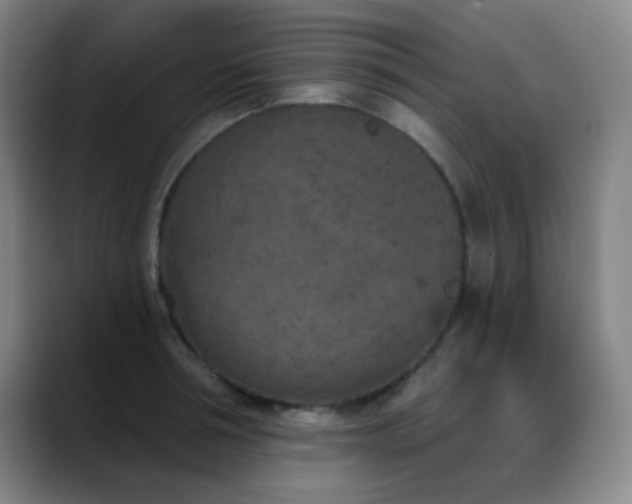 X0000089340994200706151040