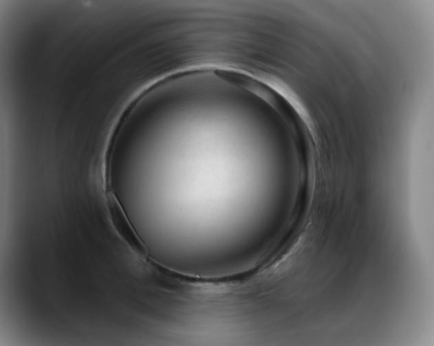 X0000089340996200706151040