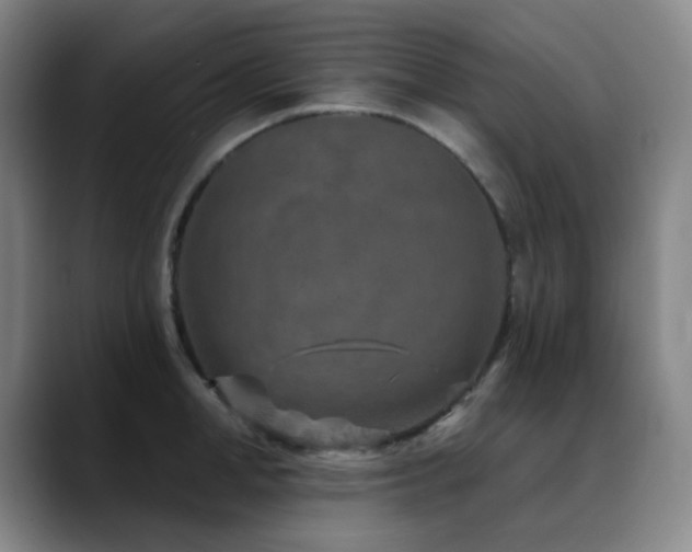 X0000089340998200706151040
