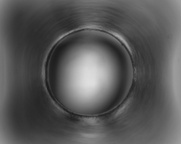 X0000089340999200706151040