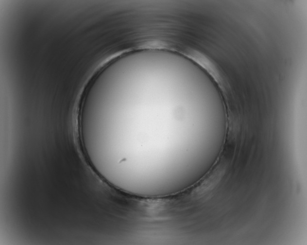 X0000089341000200706151040