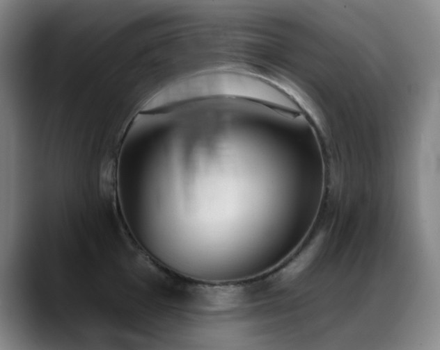 X0000089341001200706151040
