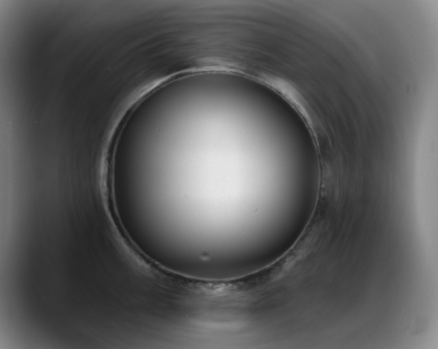 X0000089341003200706151040