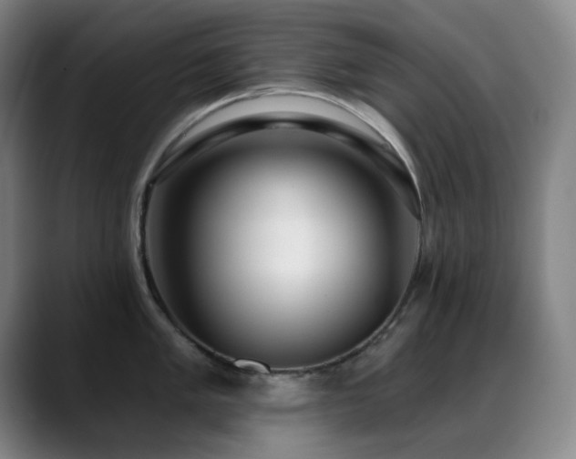 X0000089341005200706151040
