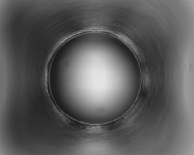 X0000089341006200706151040