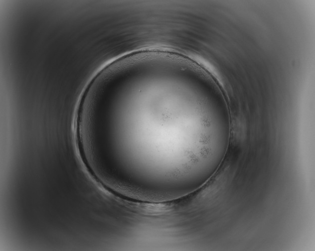X0000089341007200706151040