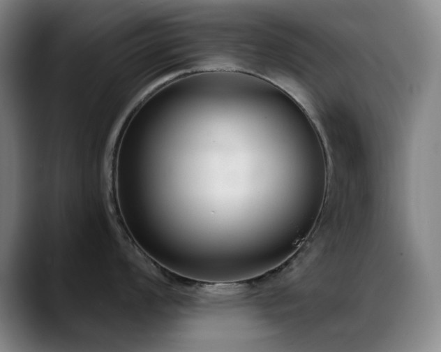 X0000089341008200706151040