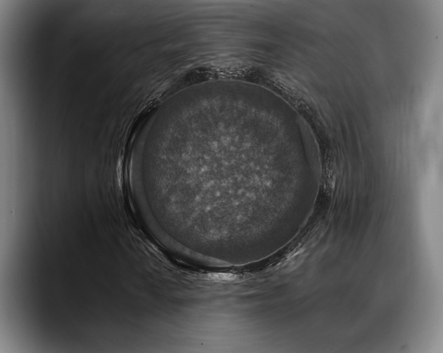 X0000089341010200706151039