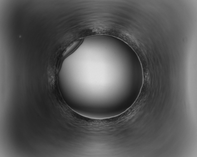 X0000089341012200706151039