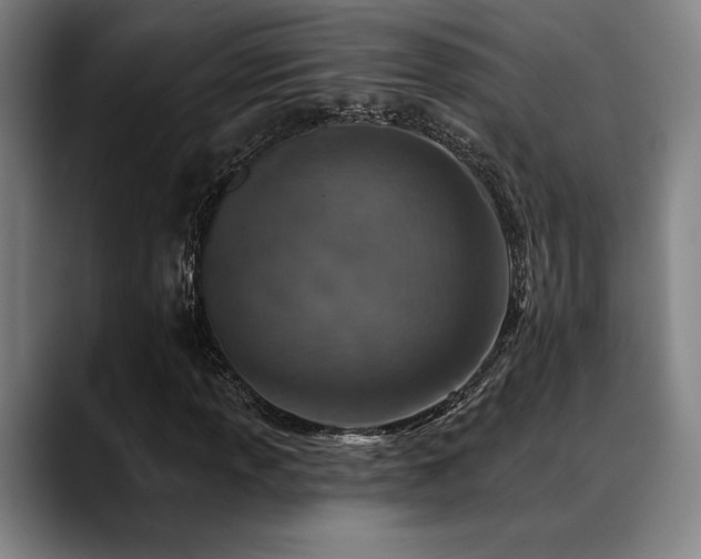 X0000089341013200706151039