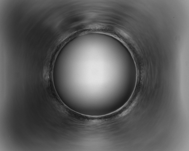 X0000089341017200706151039