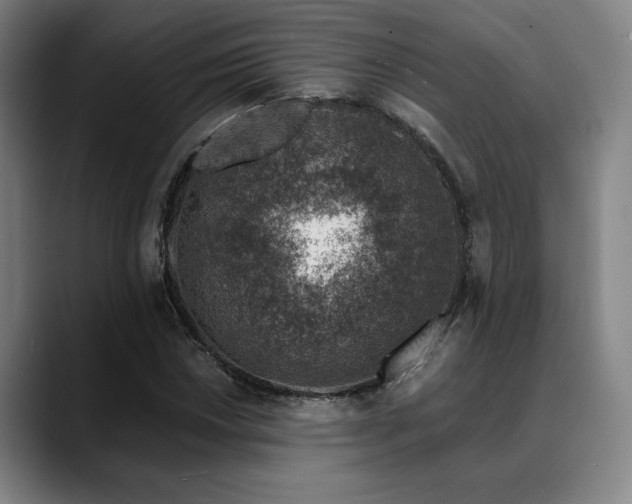 X0000089341018200706151039