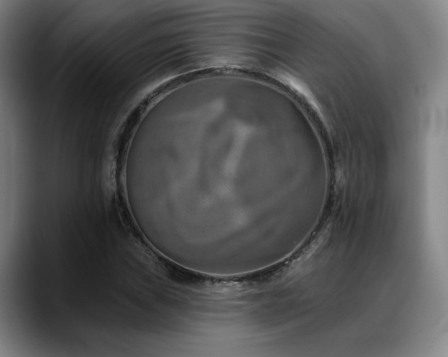 X0000089341019200706151039