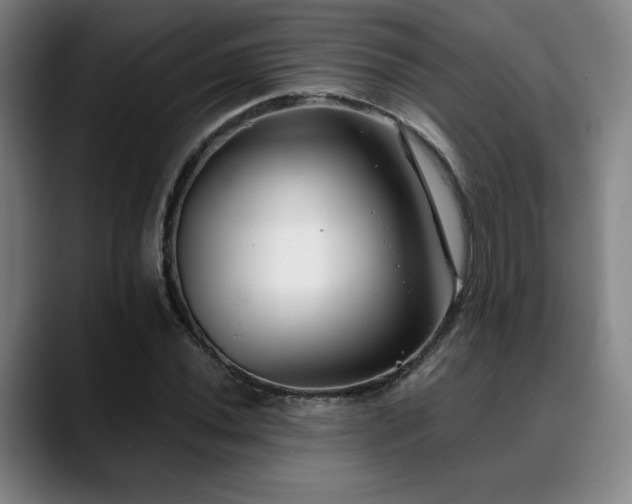 X0000089341020200706151039