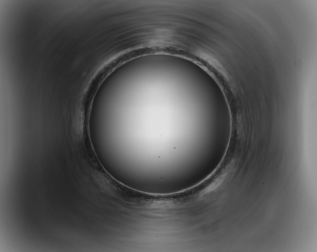 X0000089341021200706151039