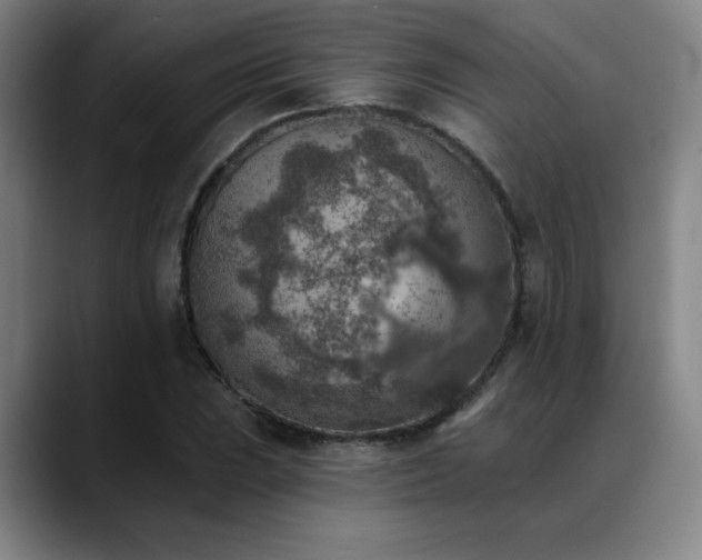 X0000089341023200706151039