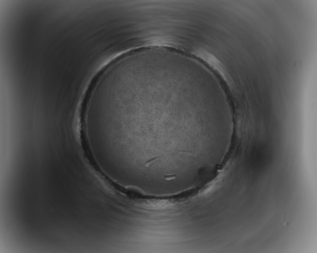 X0000089341024200706151039