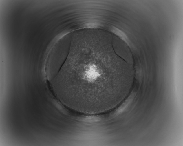 X0000089341026200706151039
