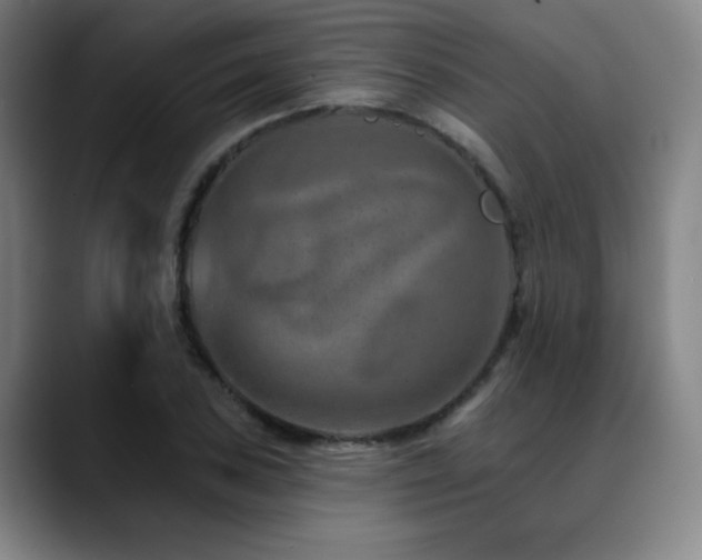 X0000089341027200706151039
