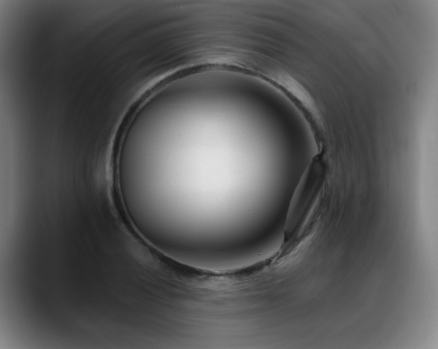 X0000089341028200706151039