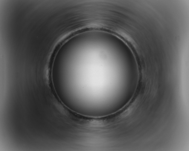 X0000089341029200706151039