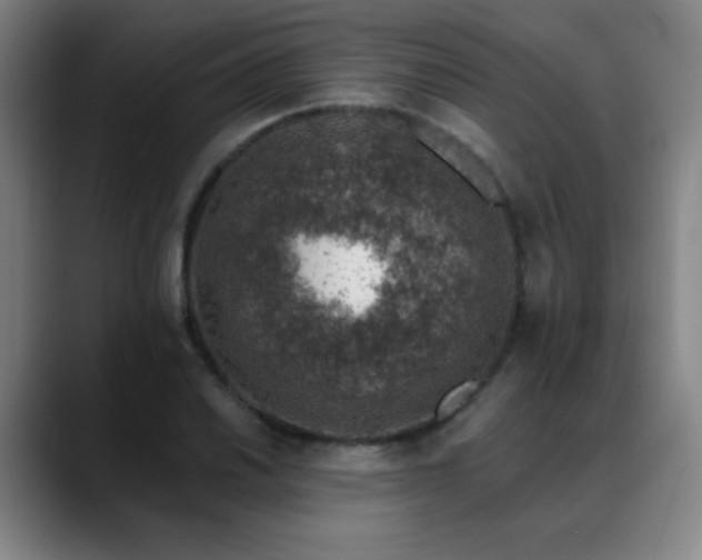 X0000089341030200706151039