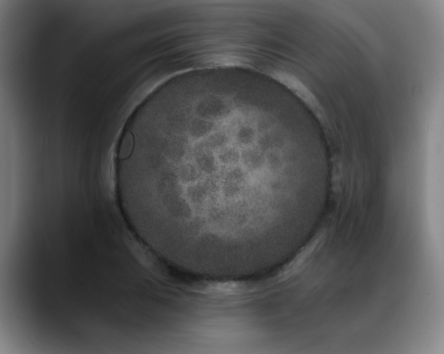 X0000089341031200706151039