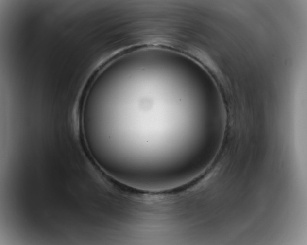 X0000089341032200706151039