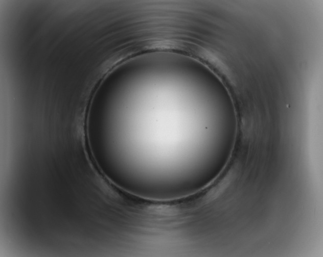 X0000089341033200706151039