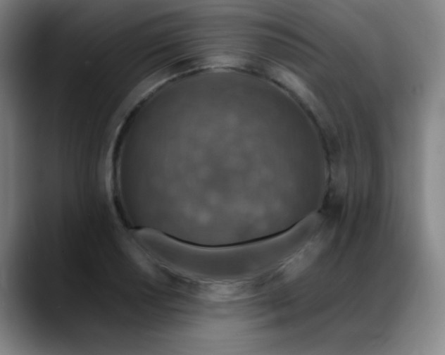 X0000089341034200706151039