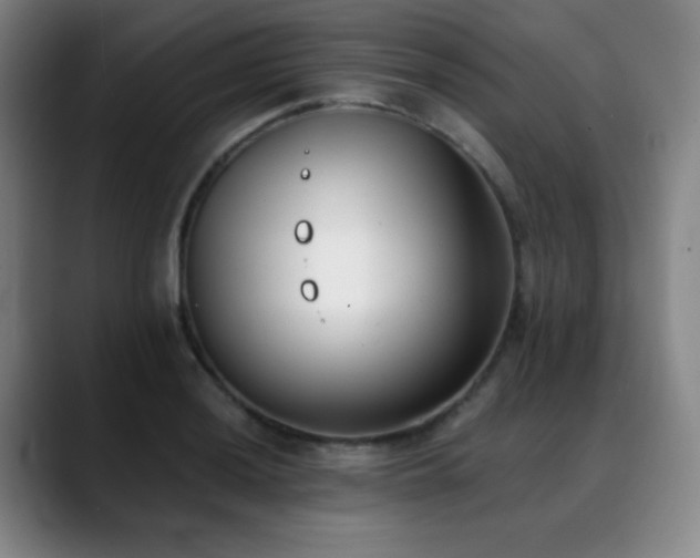 X0000089341036200706151039