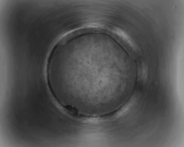 X0000089341038200706151039