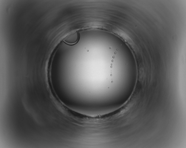 X0000089341039200706151039