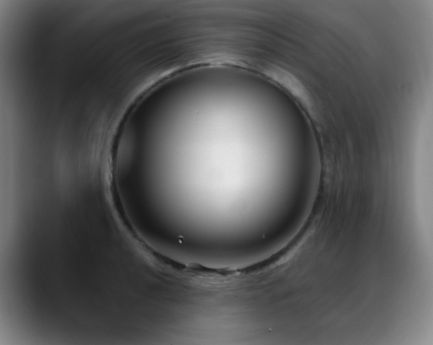 X0000089341040200706151040
