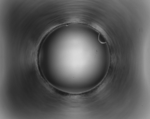 X0000089341043200706151040