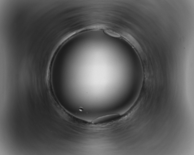 X0000089341044200706151040