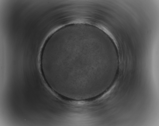 X0000089341045200706151040