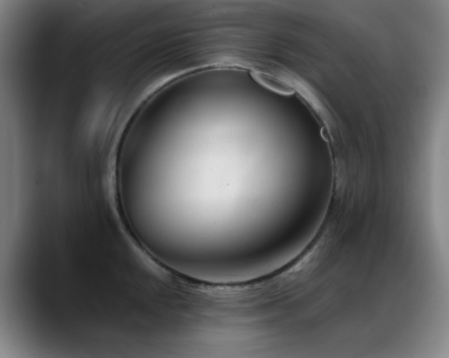 X0000089341048200706151040