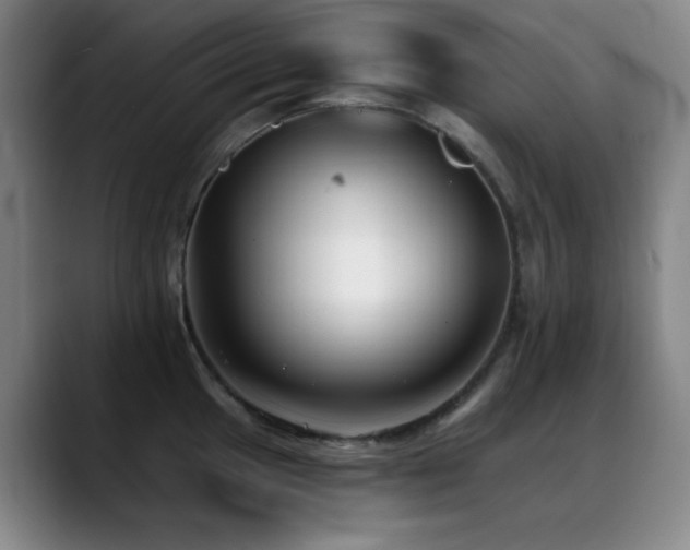 X0000089341049200706151040