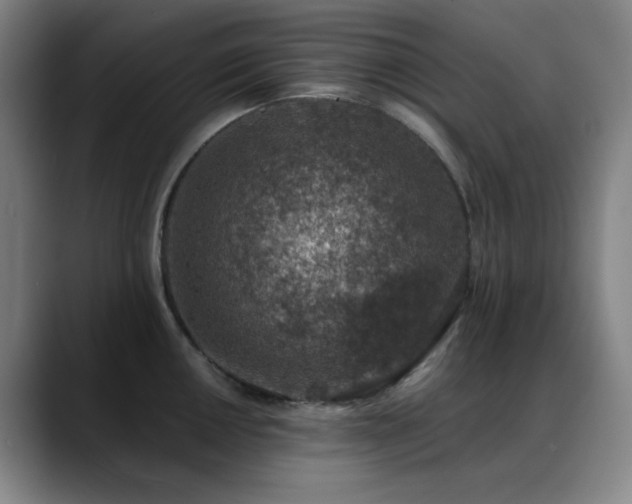 X0000089341050200706151040